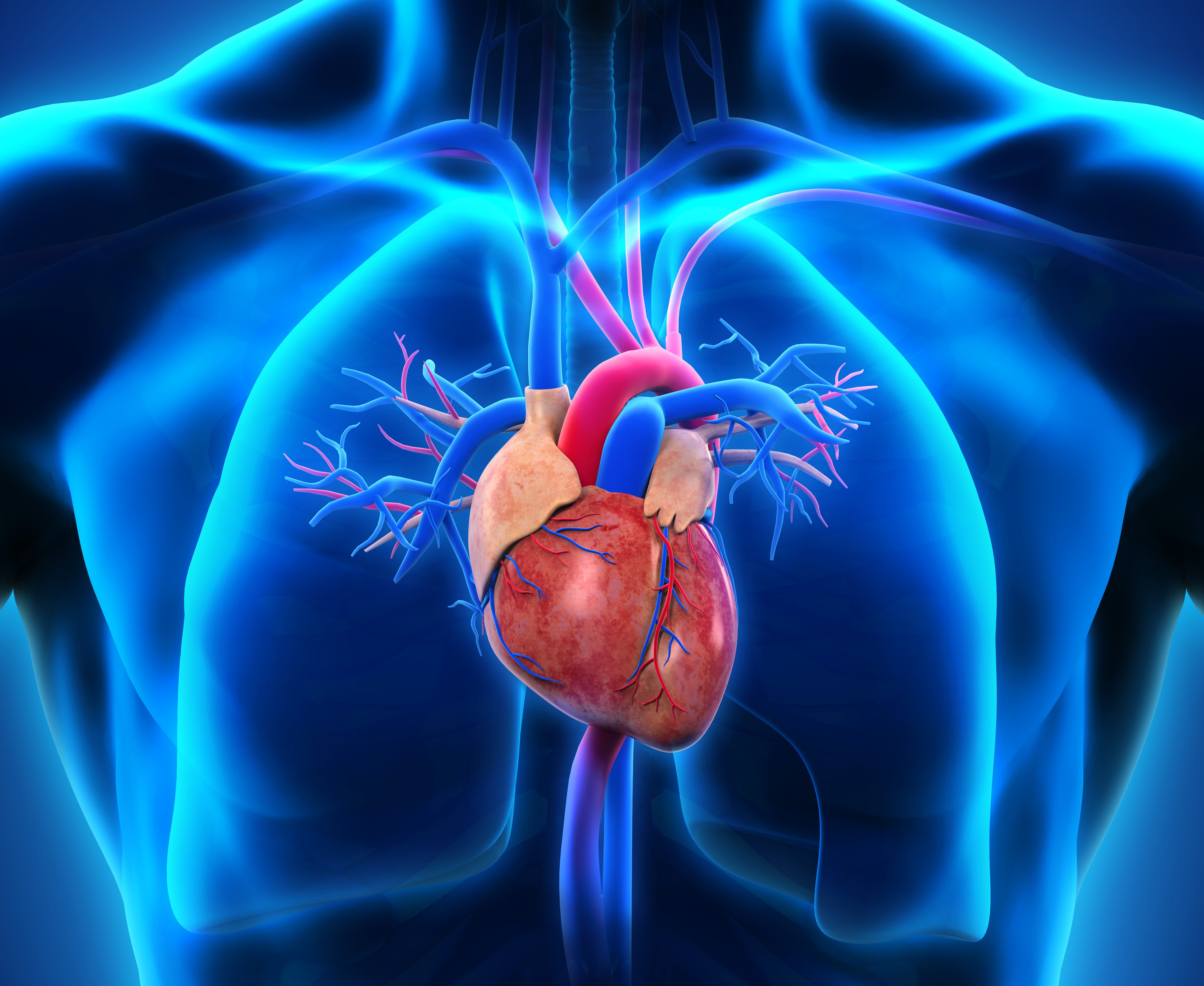 Cardiac Catheterization | Hunterdon Cardiovascular Associates | New Jersey